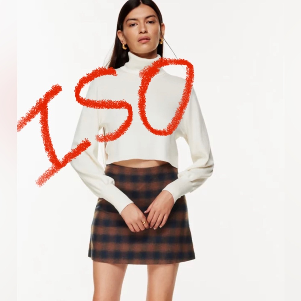 ISO: Aritzia Wilfred Classic Plaid Skirt: brown/navy